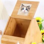 cat diy wood urn box