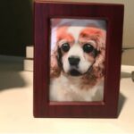 what materials on the market are suitable for making pet urns