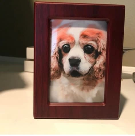 what materials on the market are suitable for making pet urns