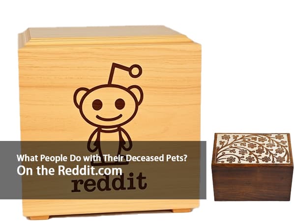 What People Do with Their Deceased Pets? On the Reddit.com
