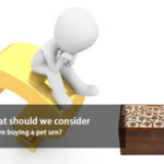 what should we consider before buying a pet urn