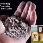 lovely pet ahes