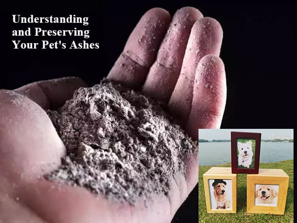 The Truth About Pet Ashes: Color, Safety, And Storage -Choose The Perfect Memorial For Your Beloved Companion