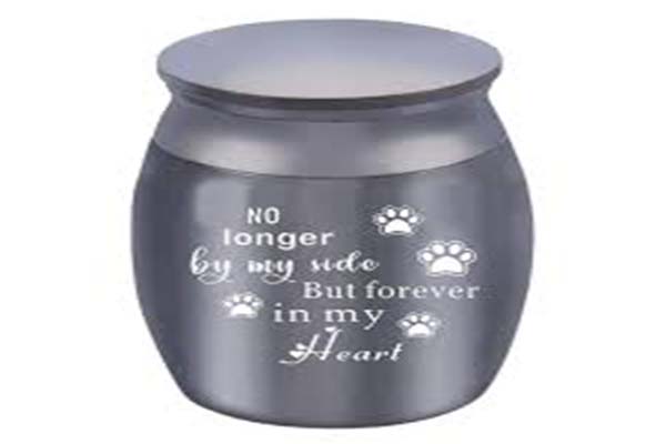 Online Shopping Guide Trusted Websites For Purchasing Pet Urn Ashes