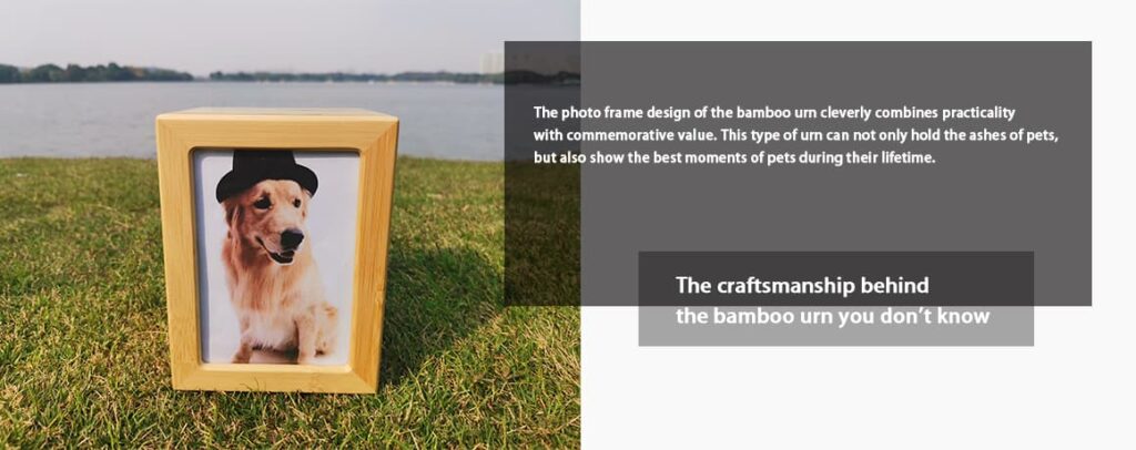 urn box mysteriosu (6)