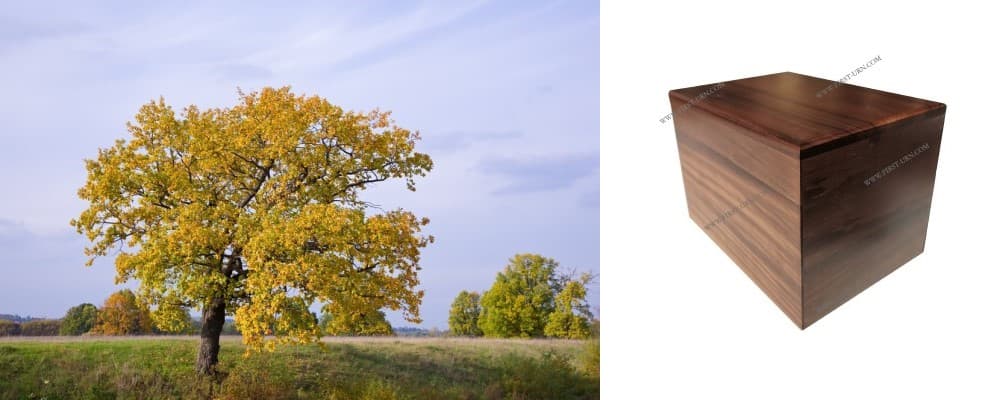 walnut wood urn02