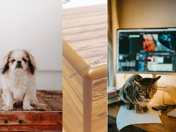 A Comprehensive Guide To Choosing The Perfect Wooden Urn For Your Beloved Pet