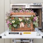 cremation casket box