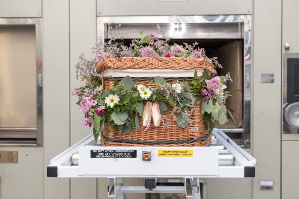 cremation urn for pets