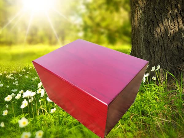 Choose A Fitting Resting Place For Your Beloved Pet