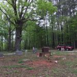 natural earth burial