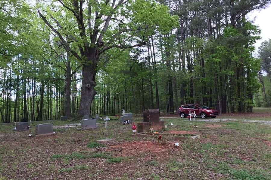 natural earth burial