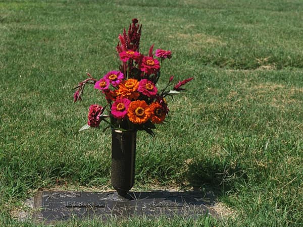 Return Your beloved Pet To Nature With Biodegradable Urns