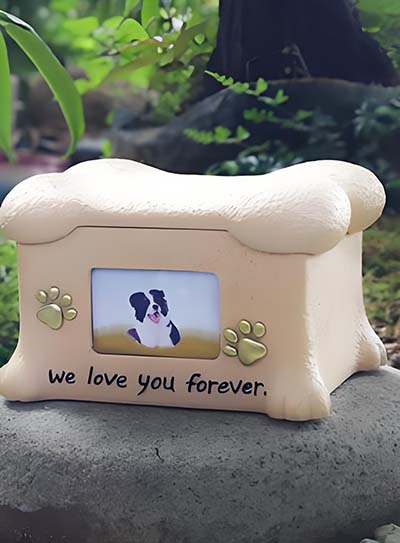 Pet Urn Ashes Material Revolution