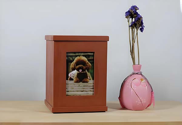 How To Choose The Right Pet Urn Ashes