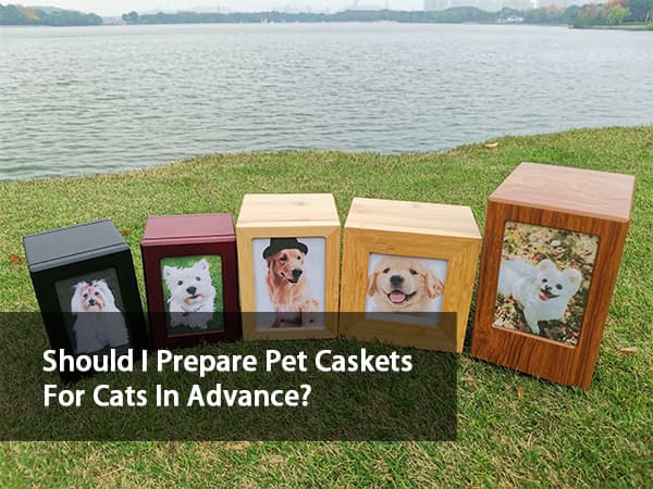 Should I Prepare Pet Caskets For Cats In Advance?