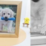 bamboo & mdf material pet urn