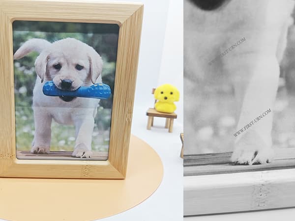 Eco-Friendly Pet wooden Urns That Honor Your Furry Friends