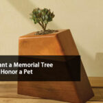 plant a memorial tree to honor a pet