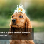 is the price of pet wooden urn expensive