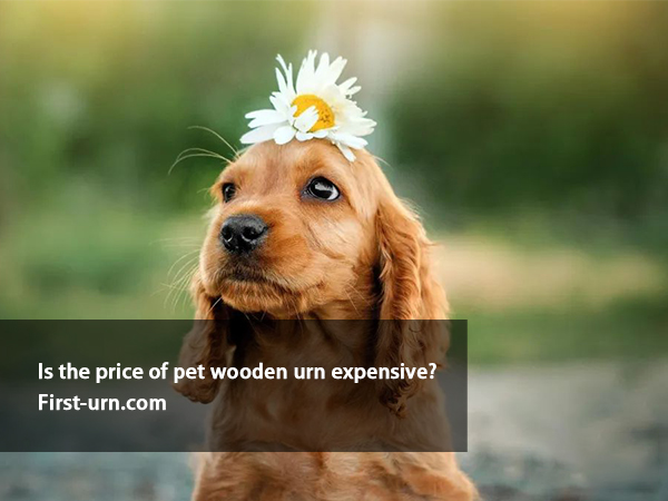 is the price of pet wooden urn expensive