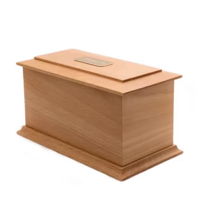 OEM & ODM Medium Size Memorial Casket F184