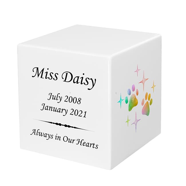 Rainbow Paw Print Keepsake Cremation Urn F346