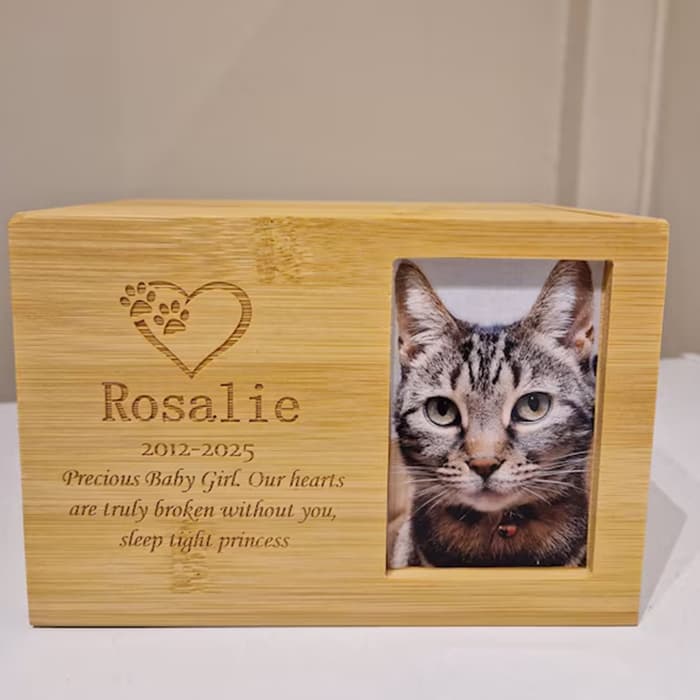 bamboo pet cat urn06