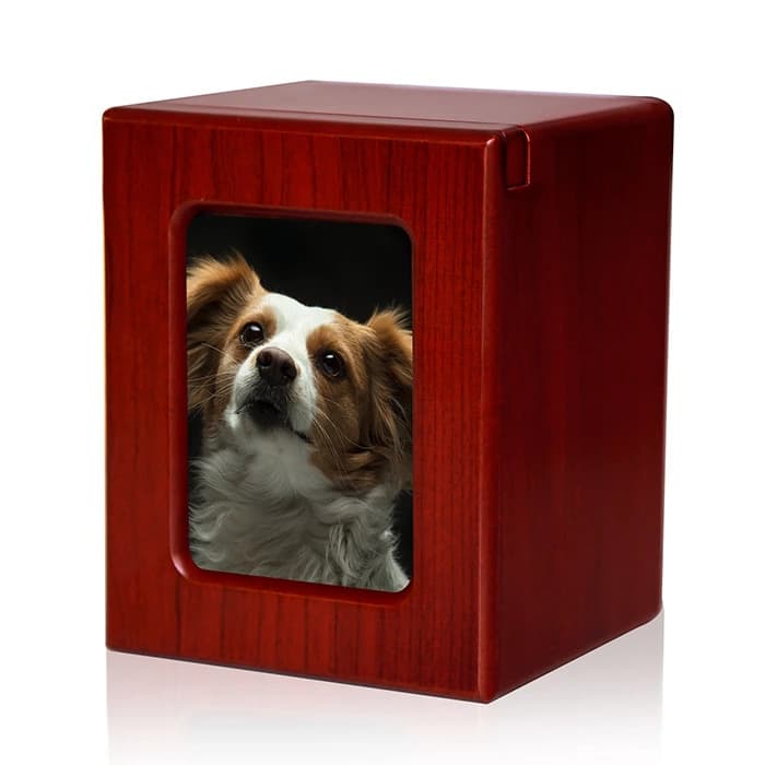 mdf veneered pet urn box (1)