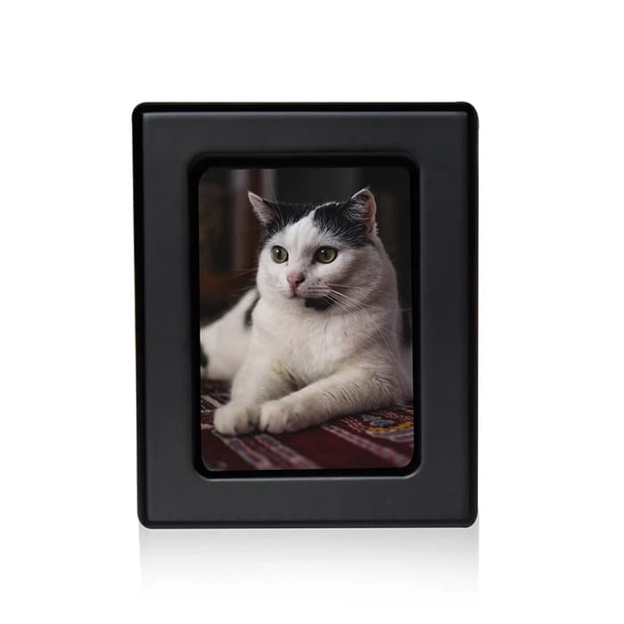 mdf veneered pet urn box (2)