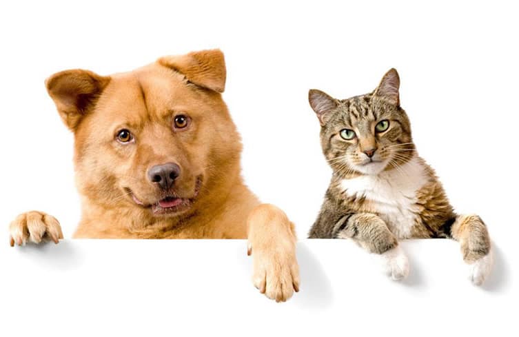 other materials urn