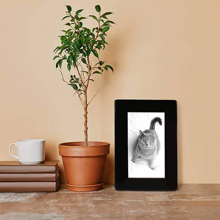 Small Pet Cremation Urn, Solid Wood Cat Dog Memorial Coffin Rabbit F180