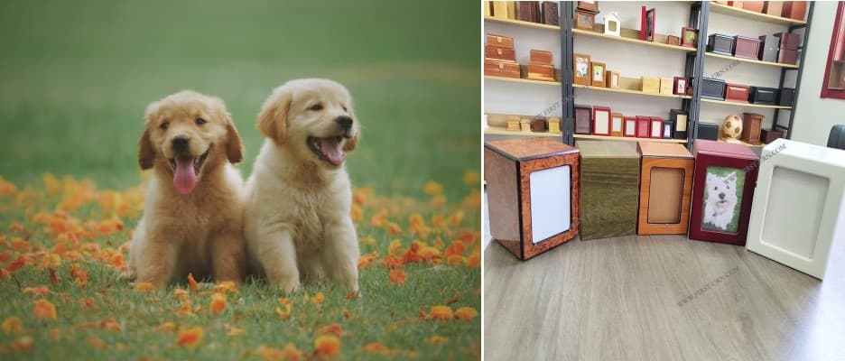 wooden pet urn for dog (1)