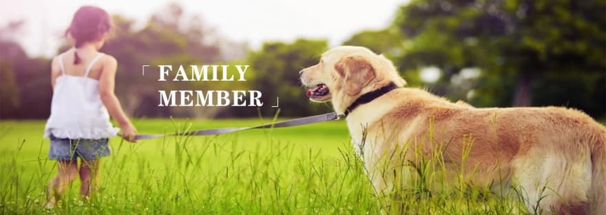 wooden pet urn for dog (2)