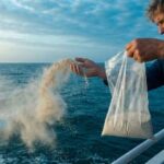 institutional requirements for scattering ashes at sea from the united states