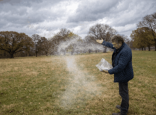To Scatter Ashes in Public Land Permission-United States